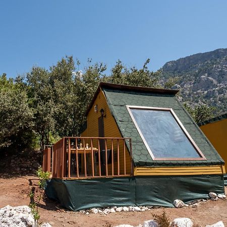 法拉尔雅 Goat Bungalow And Camping酒店 外观 照片