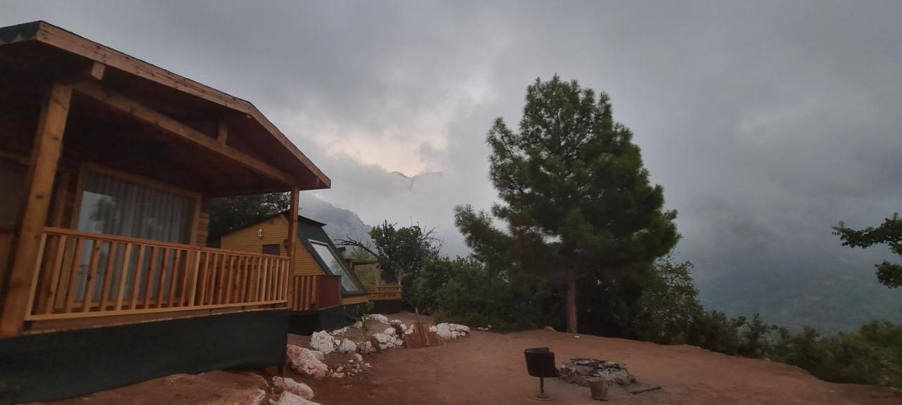 法拉尔雅 Goat Bungalow And Camping酒店 外观 照片